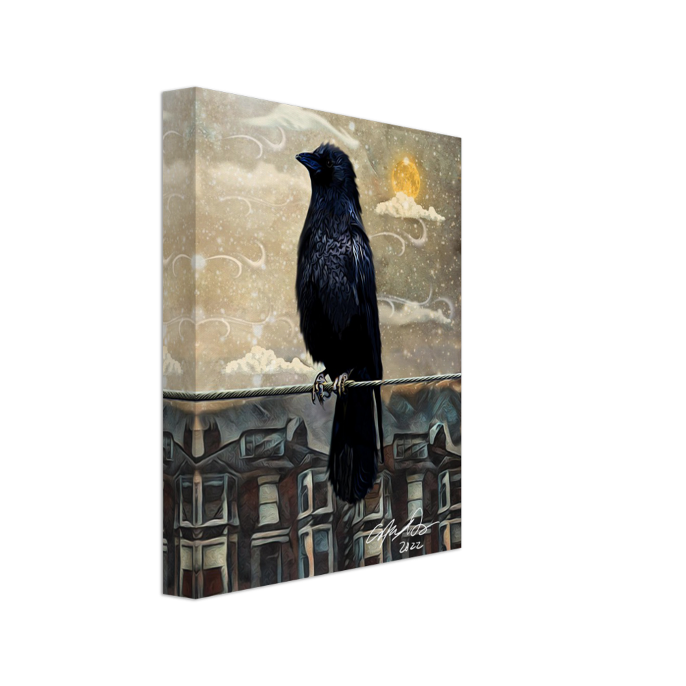 8 x 10 Canvas Urban Crow Balance